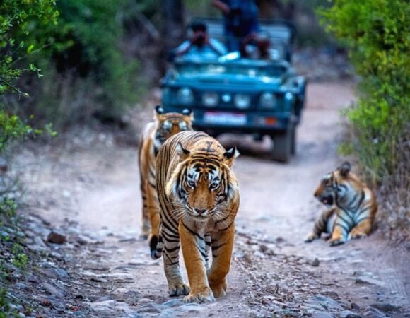 Golden Triangle Tour With Ranthambore